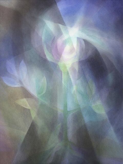 BLAUE BLUME - Birgit Tiller  50x70 cm