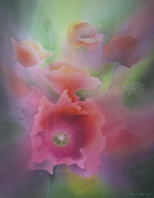 KLATSCHMOHN - Roland Tiller  54x72cm 