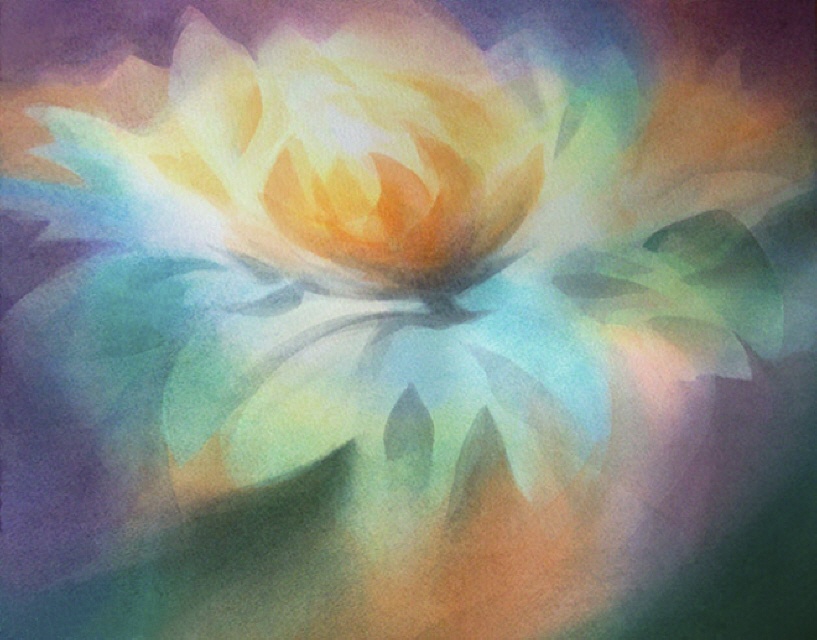 LOTUS - Roland Tiller  50x60cm 